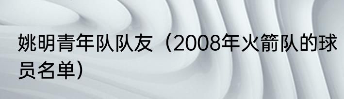 姚明青年队队友（2008年火箭队的球员名单）