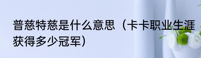 普慈特慈是什么意思（卡卡职业生涯获得多少冠军）