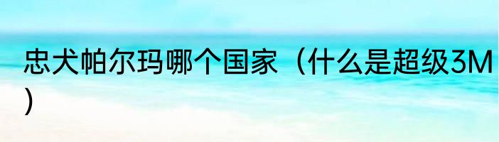 忠犬帕尔玛哪个国家（什么是超级3M）