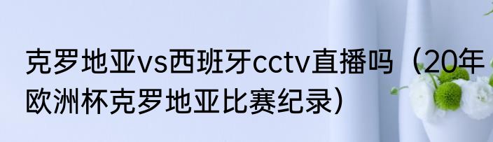 克罗地亚vs西班牙cctv直播吗（20年欧洲杯克罗地亚比赛纪录）