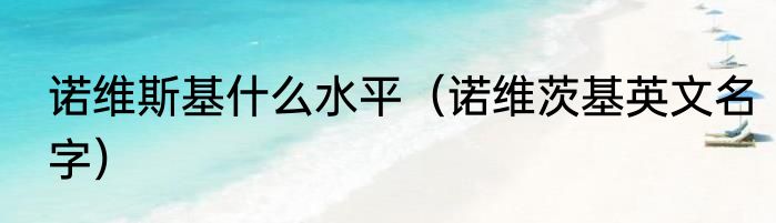 诺维斯基什么水平（诺维茨基英文名字）