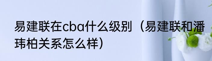 易建联在cba什么级别（易建联和潘玮柏关系怎么样）