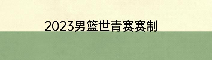 2023男篮世青赛赛制