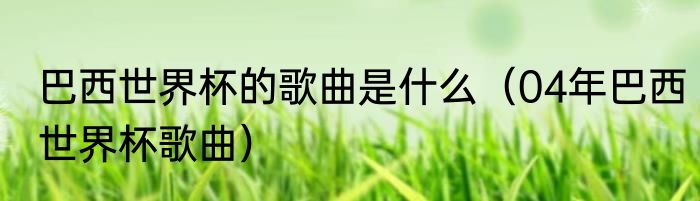 巴西世界杯的歌曲是什么（04年巴西世界杯歌曲）