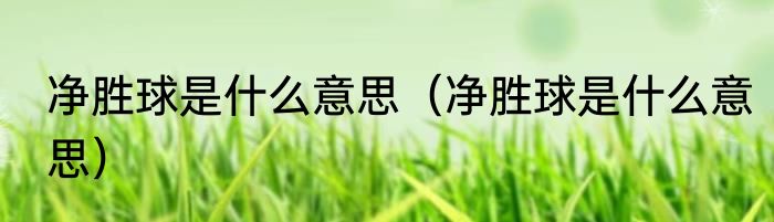 净胜球是什么意思（净胜球是什么意思）