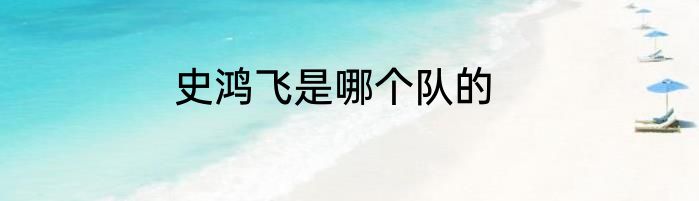 史鸿飞是哪个队的