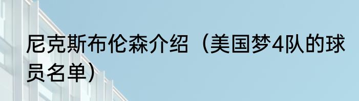 尼克斯布伦森介绍（美国梦4队的球员名单）