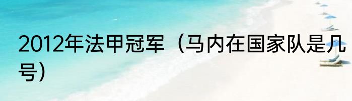 2012年法甲冠军（马内在国家队是几号）