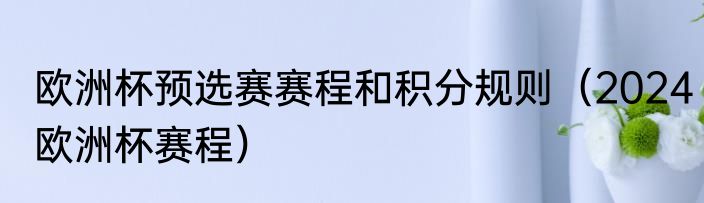 欧洲杯预选赛赛程和积分规则（2024欧洲杯赛程）