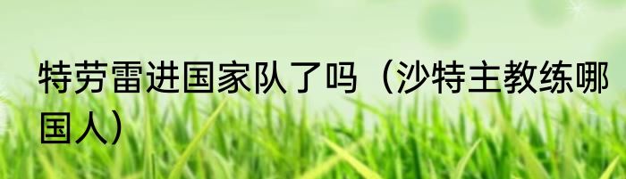 特劳雷进国家队了吗（沙特主教练哪国人）