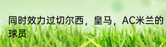 同时效力过切尔西，皇马，AC米兰的球员