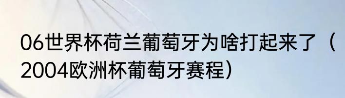 06世界杯荷兰葡萄牙为啥打起来了（2004欧洲杯葡萄牙赛程）