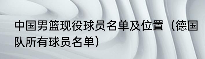 中国男篮现役球员名单及位置（德国队所有球员名单）