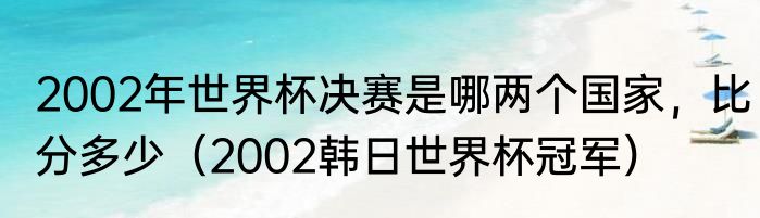2002年世界杯决赛是哪两个国家，比分多少（2002韩日世界杯冠军）