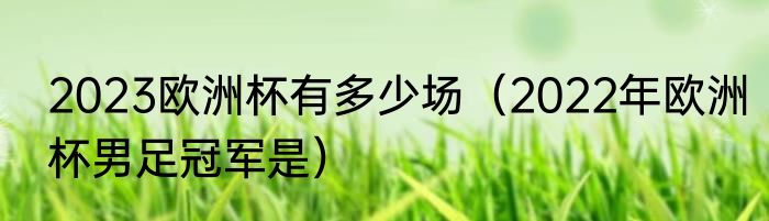 2023欧洲杯有多少场（2022年欧洲杯男足冠军是）