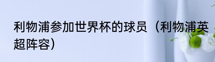 利物浦参加世界杯的球员（利物浦英超阵容）