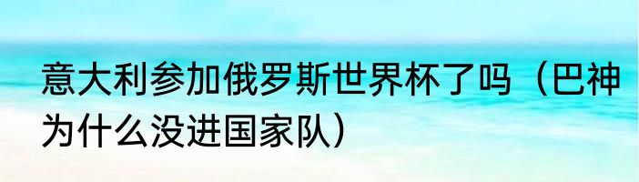 意大利参加俄罗斯世界杯了吗（巴神为什么没进国家队）