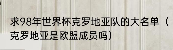 求98年世界杯克罗地亚队的大名单（克罗地亚是欧盟成员吗）