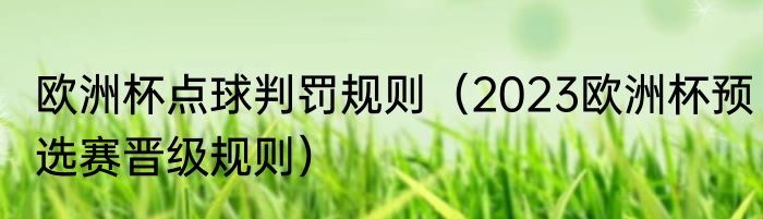 欧洲杯点球判罚规则（2023欧洲杯预选赛晋级规则）