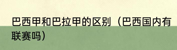 巴西甲和巴拉甲的区别（巴西国内有联赛吗）