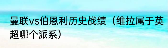 曼联vs伯恩利历史战绩（维拉属于英超哪个派系）