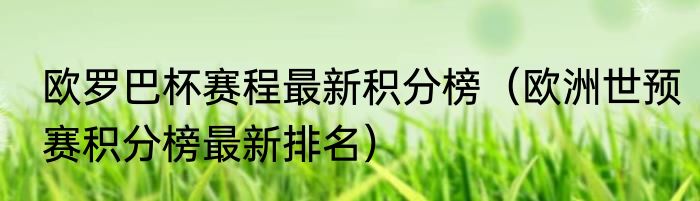 欧罗巴杯赛程最新积分榜（欧洲世预赛积分榜最新排名）