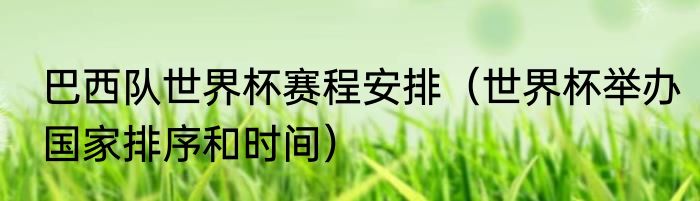 巴西队世界杯赛程安排（世界杯举办国家排序和时间）