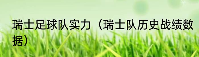 瑞士足球队实力（瑞士队历史战绩数据）