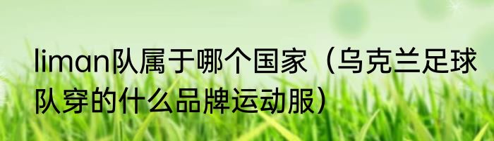 liman队属于哪个国家（乌克兰足球队穿的什么品牌运动服）