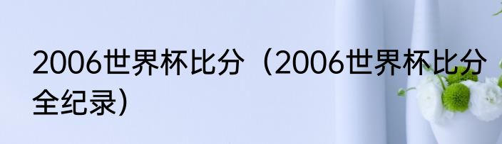 2006世界杯比分（2006世界杯比分全纪录）