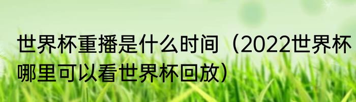 世界杯重播是什么时间（2022世界杯哪里可以看世界杯回放）