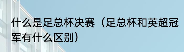 什么是足总杯决赛（足总杯和英超冠军有什么区别）