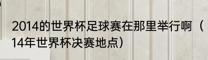 2014的世界杯足球赛在那里举行啊（14年世界杯决赛地点）