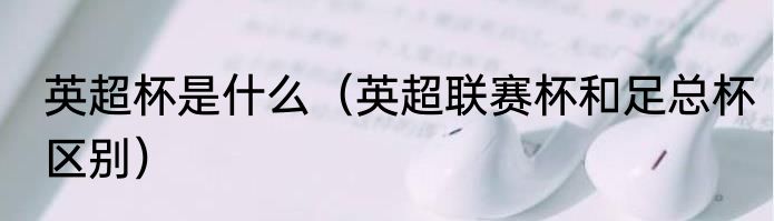 英超杯是什么（英超联赛杯和足总杯区别）