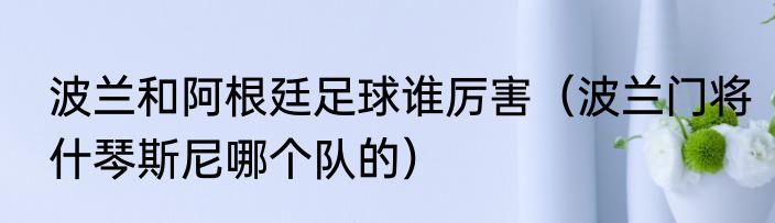 波兰和阿根廷足球谁厉害（波兰门将什琴斯尼哪个队的）