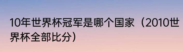 10年世界杯冠军是哪个国家（2010世界杯全部比分）