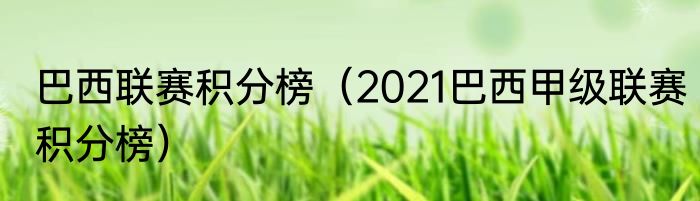巴西联赛积分榜（2021巴西甲级联赛积分榜）