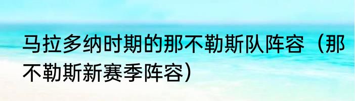 马拉多纳时期的那不勒斯队阵容（那不勒斯新赛季阵容）