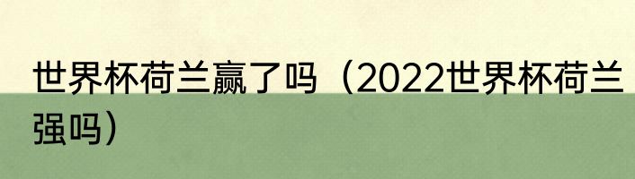 世界杯荷兰赢了吗（2022世界杯荷兰强吗）