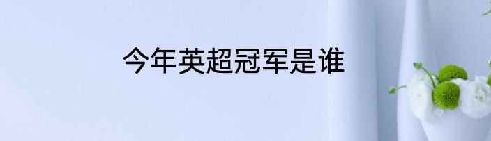 今年英超冠军是谁