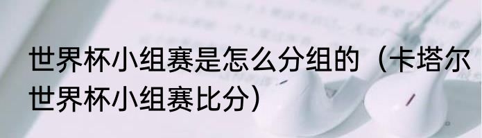 世界杯小组赛是怎么分组的（卡塔尔世界杯小组赛比分）