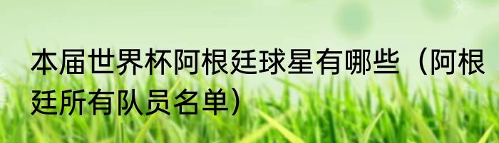 本届世界杯阿根廷球星有哪些（阿根廷所有队员名单）