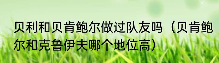 贝利和贝肯鲍尔做过队友吗（贝肯鲍尔和克鲁伊夫哪个地位高）