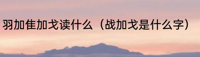 羽加隹加戈读什么（战加戈是什么字）