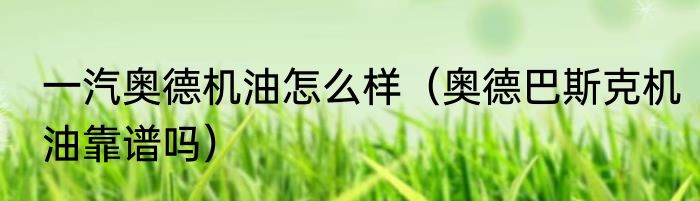 一汽奥德机油怎么样（奥德巴斯克机油靠谱吗）