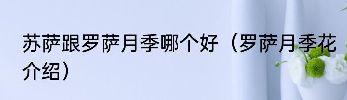 苏萨跟罗萨月季哪个好（罗萨月季花介绍）