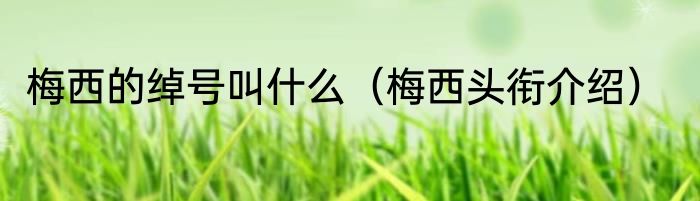 梅西的绰号叫什么（梅西头衔介绍）