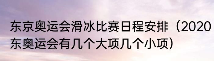 东京奥运会滑冰比赛日程安排（2020东奥运会有几个大项几个小项）