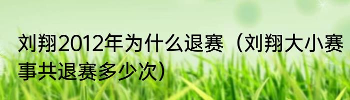 刘翔2012年为什么退赛（刘翔大小赛事共退赛多少次）