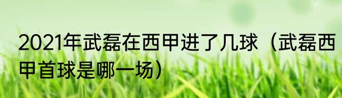 2021年武磊在西甲进了几球（武磊西甲首球是哪一场）
